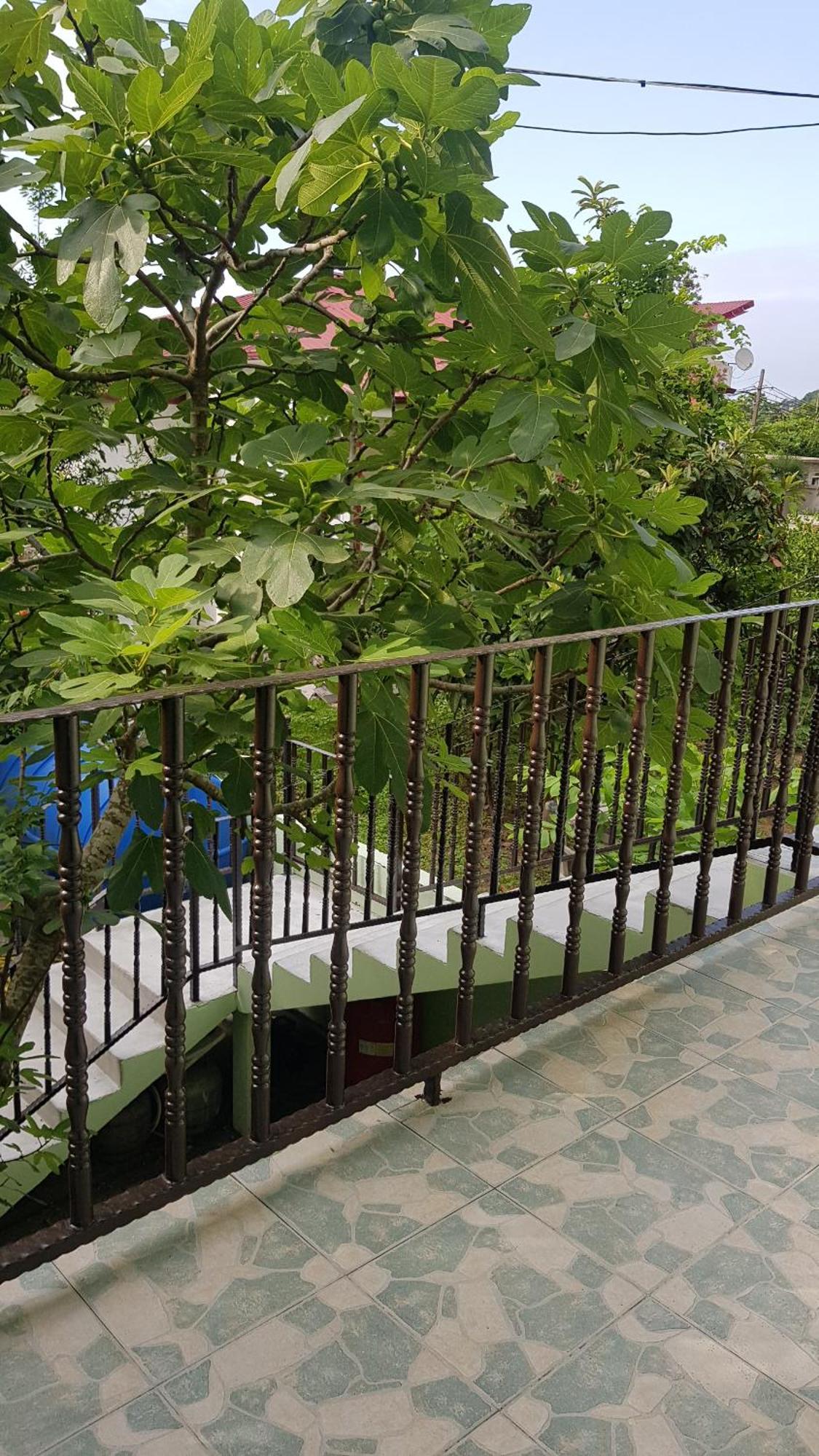 Hotel Captain Gonio Dış mekan fotoğraf